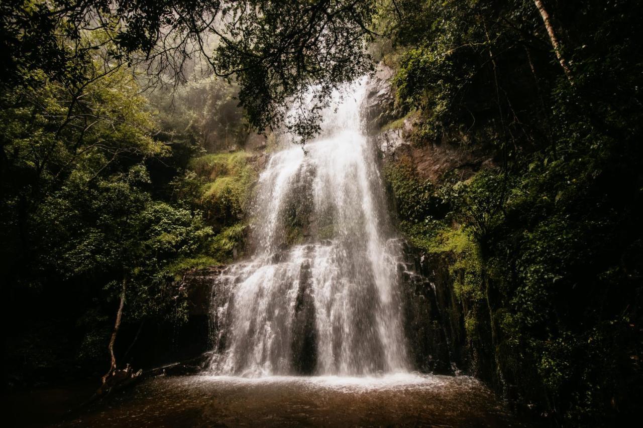 Mount Sheba Rainforest Hotel & Resort Pilgrimʼs Rest エクステリア 写真