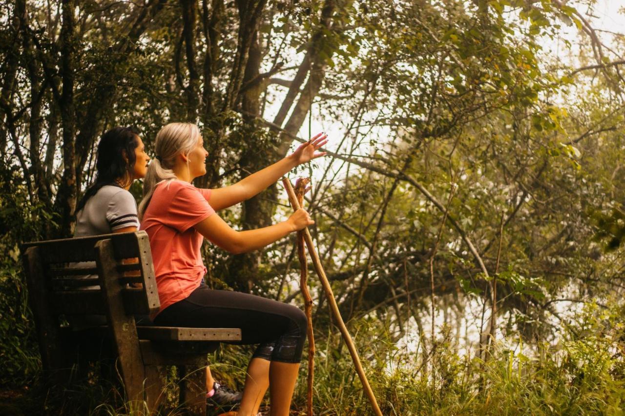 Mount Sheba Rainforest Hotel & Resort Pilgrimʼs Rest エクステリア 写真