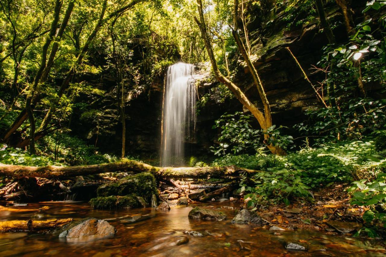 Mount Sheba Rainforest Hotel & Resort Pilgrimʼs Rest エクステリア 写真